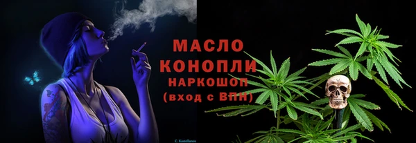 крисы Корсаков
