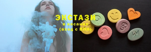 крисы Корсаков