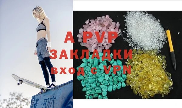 крисы Корсаков