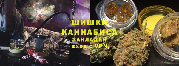 крисы Корсаков