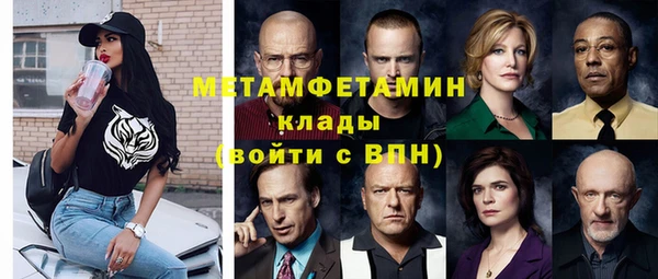 крисы Корсаков