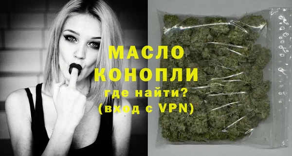 крисы Корсаков