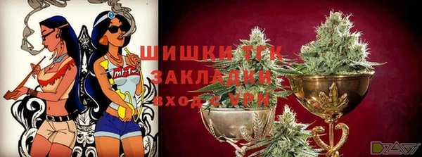 крисы Корсаков