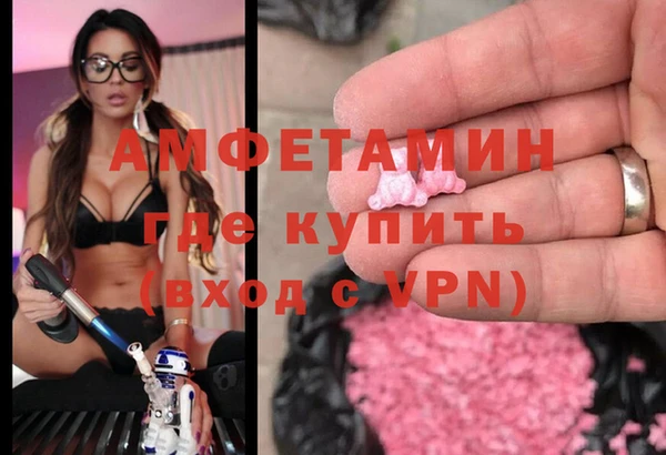 крисы Корсаков