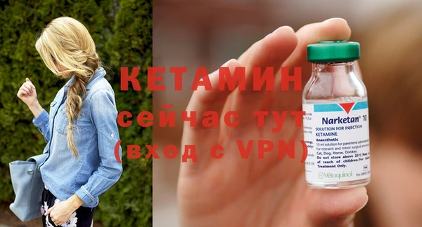 крисы Корсаков