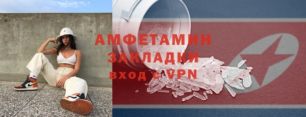 крисы Корсаков