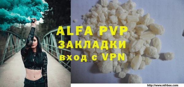 крисы Корсаков