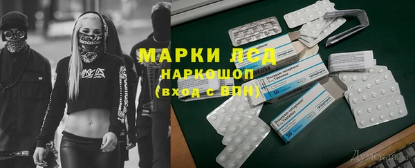 крисы Корсаков